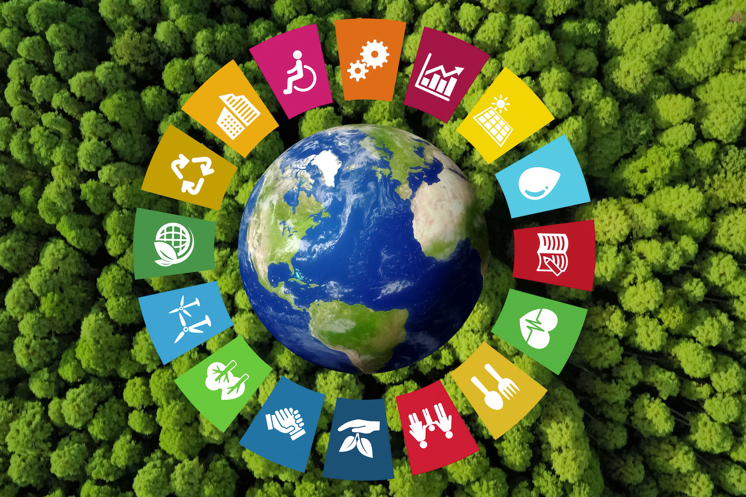 Contribution to SDGs image